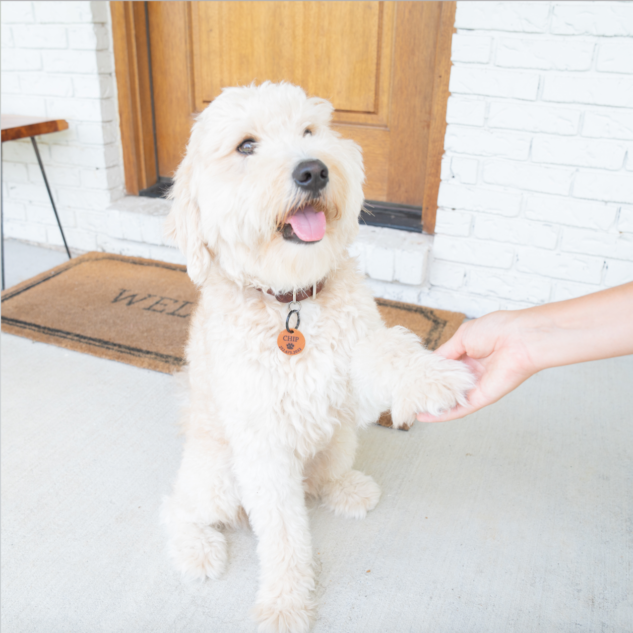 Personalized Quiet Leather Dog Tag