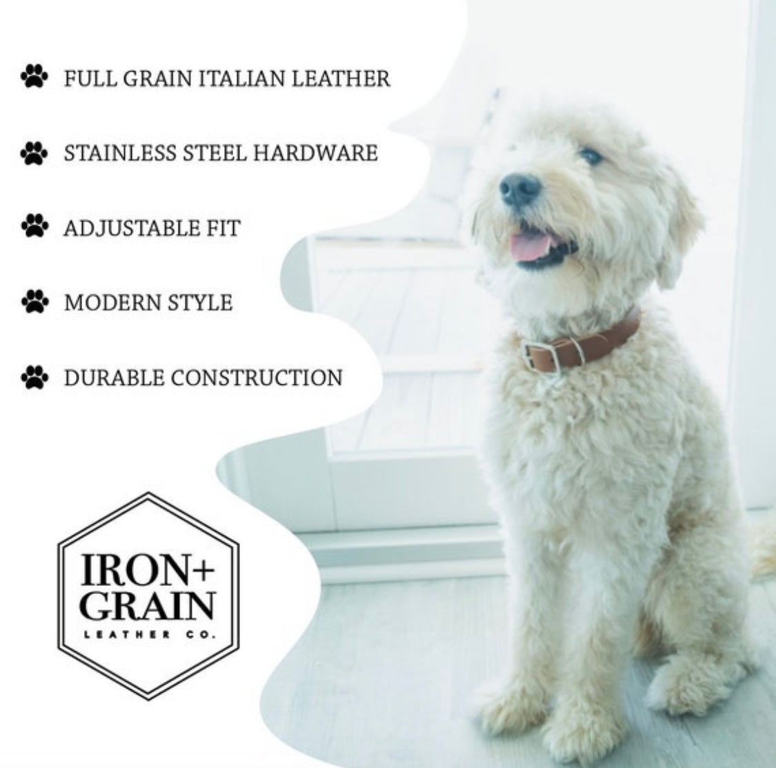 Customized Leather Dog Collar