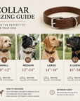 Personalized Leather Dog Collar