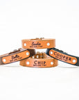 Customized Leather Dog Collar